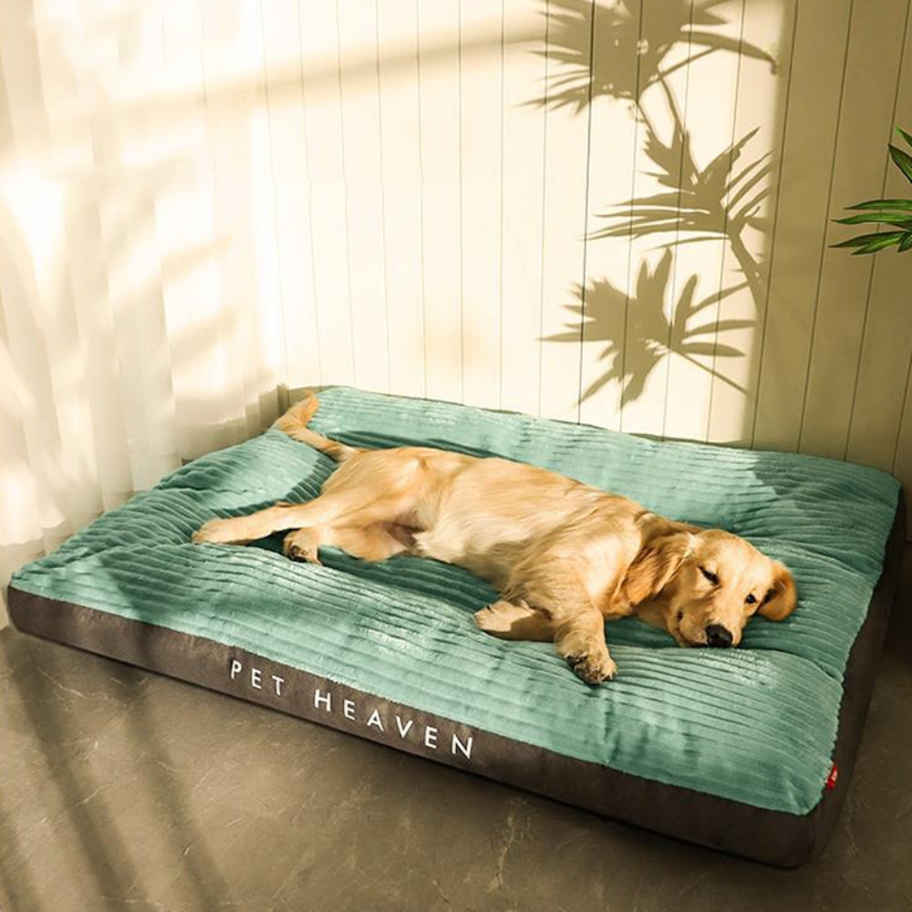 Cosy Pet Lounge