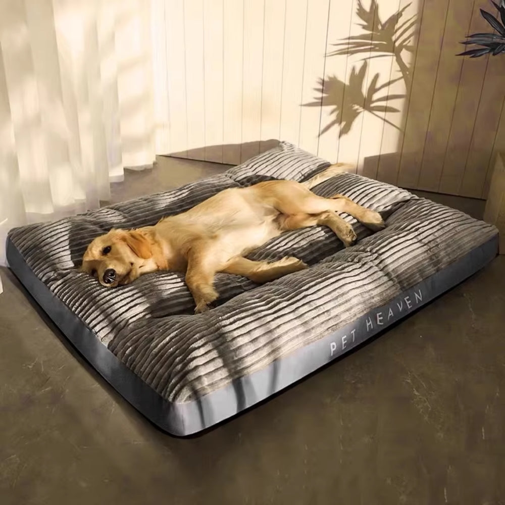 Cosy Pet Lounge