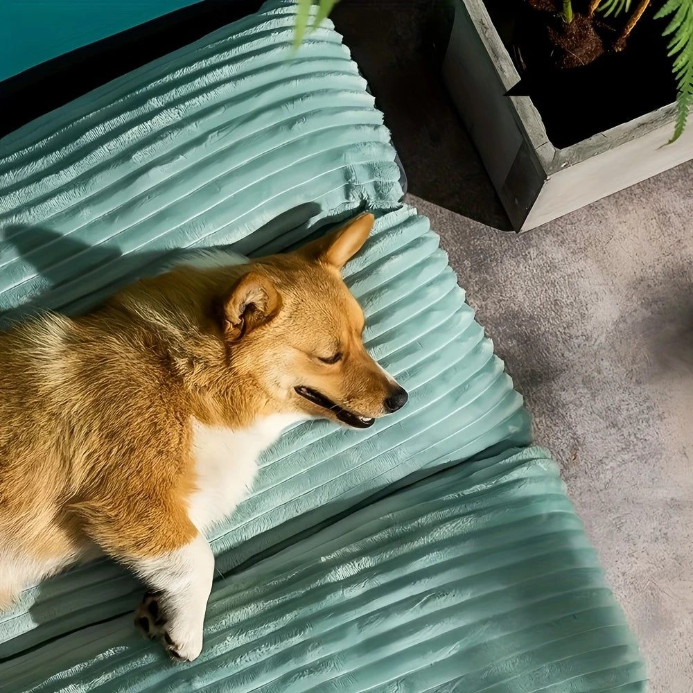 Cosy Pet Lounge