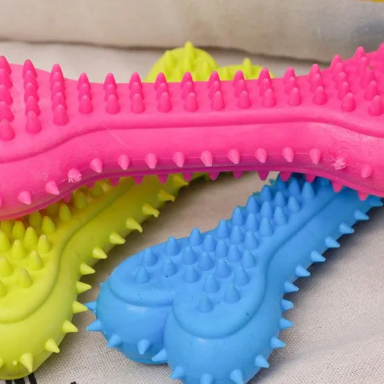 PawPlay™ Rubber Dental Chew Toy